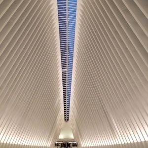 Meet your Posher, Moises